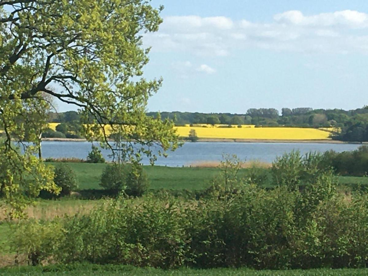 Ferienhaus Nr 4 Goltoft-Schlei Brodersby-Goltoft エクステリア 写真